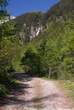 20060614_094537 Strada in val Febbraro.jpg